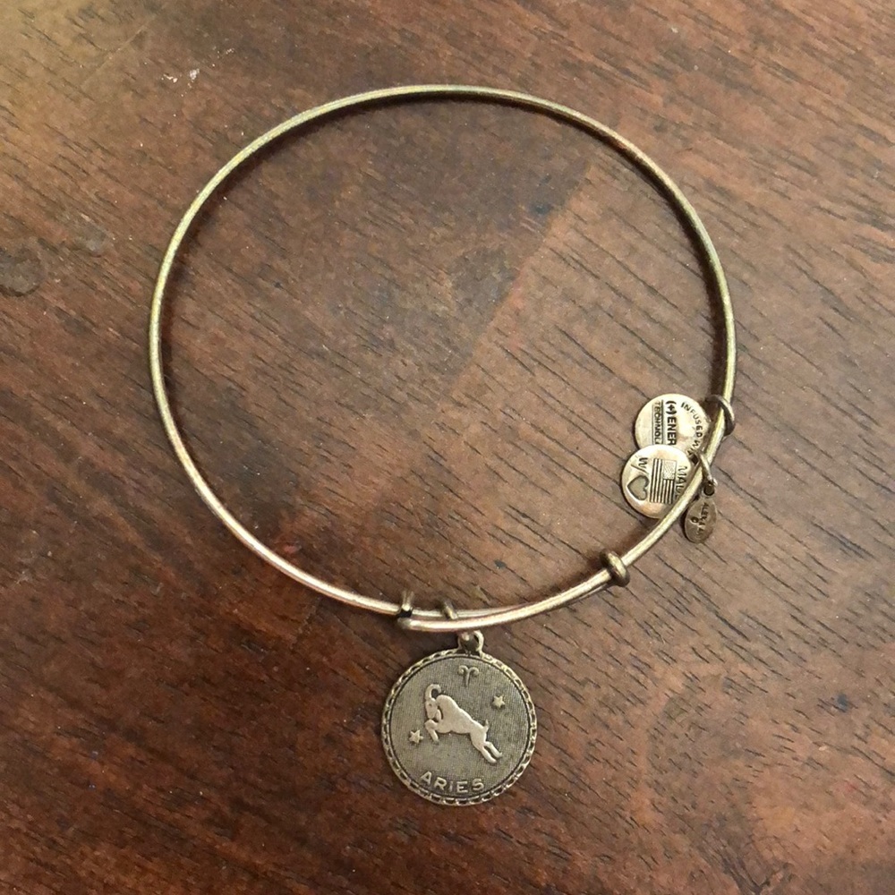 😍Aries charm alex & ani